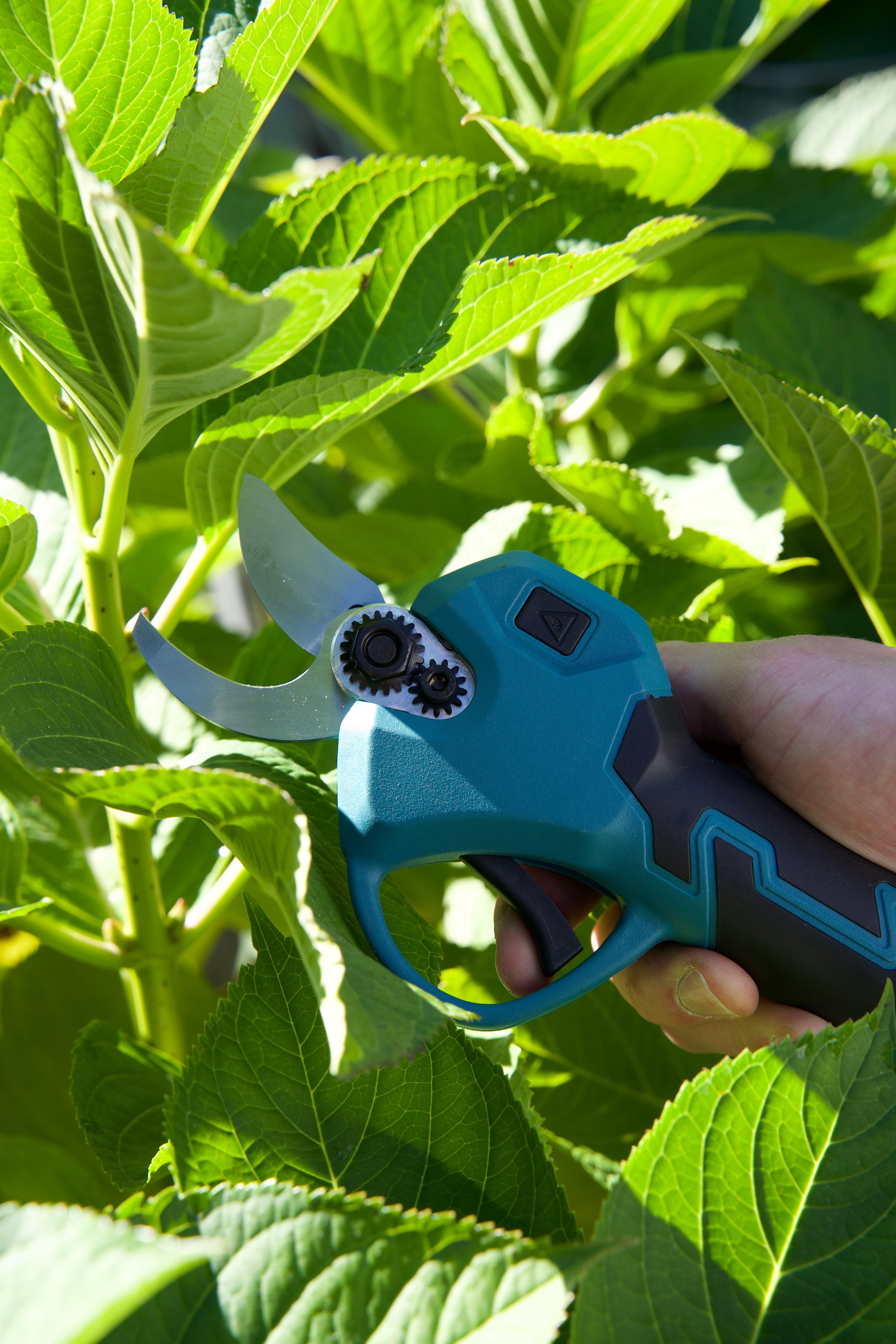 ZanoraGarden® Elektrische snoeischaar met vervangende snoeimessen